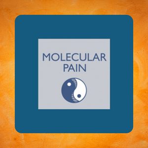 Neuromodulation